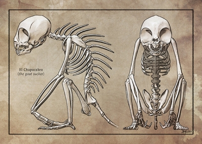 Скелет чупакабры от Брайана Ричардсона, "Myhtic Articulations"