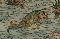 Морское чудовище (возможно, хафгуфа) на морской карте Олафа Магнуса (Olaus Magnus)