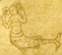 Сирена (Рукопись Моргановской библиотеки MS. M. 0814, fol. 61v.)