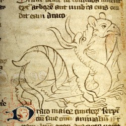 Битва дракона и слона (Рукопись Моргановской библиотеки в Нью-Йорке Manuscript. M.890, fol. 15v.)