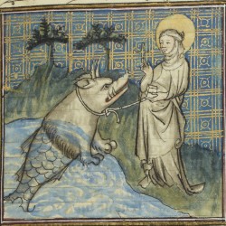 https://www.bestiary.us/files/imagecache/250x250/images/proxy.jpg