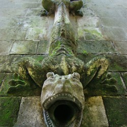 Дракон-горгулья из Шато де Пьерфонс