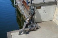 Клайпедская русалка. Бронзовая скульптура на набережной реки Дане