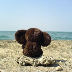 Чебурашка у моря. Фото из интернета...