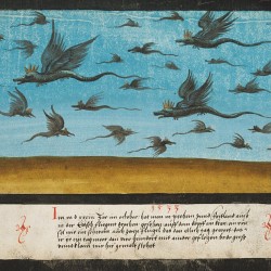 Летающие драконы из "Книги чудес" (1550 год)