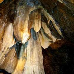 Коконы бескудов? Пещеры Моравского краса