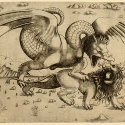 Лев и Дракон. Гравюра по рисунку Леонардо Да Винчи