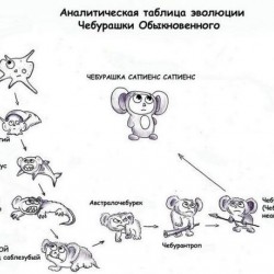 Аналитическая таблица эволюции чебурашки обыкновенного