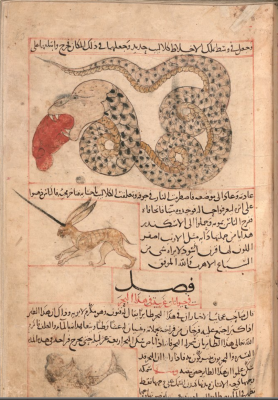 Мирадж и морской змей. Иллюстрация к трактату Аль-Казвини "Чудеса создания и чудеса существ и странных существующих вещей"