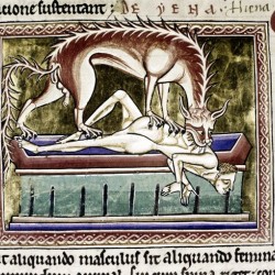 Гиена поедает мертвеца. Рукопись Бодлеянской библиотеки (MS Ashmole 1511, fol.017v.)