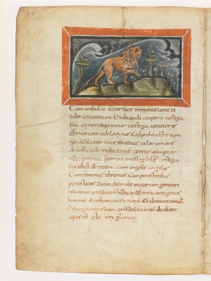 Лев, заметающий следы хвостом. Рукопись Городской библиотеки Берна (Cod. 318, fol.7v)