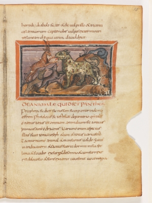 Пантера. Рукопись Городской библиотеки Берна (Cod. 318, fol.15r)