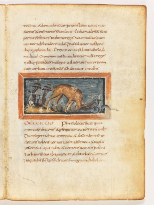 Олень атакует змею. Рукопись Городской библиотеки Берна (Cod. 318, fol.17r)