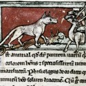 Пантера. Рукопись Бодлеянской библиотеки (MS. Bodley 533, fol.002r)