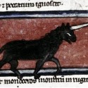 Единорог (monoceros). Рукопись Бодлеянской библиотеки (MS. Bodley 533, fol.006v.)