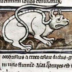 Крокодил. Рукопись Бодлеянской библиотеки (MS. Bodley 533, fol.007r.)
