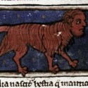 Мантикора. Рукопись Бодлеянской библиотеки (MS. Bodley 533, fol.007r.)