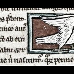 Эрциния. (Рукопись Бодлеянской библиотеки. MS. Bodley 533, fol. 017v.)