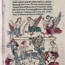 Сирены и онокентавры. (Рукопись Бодлеянской библиотеки. MS. Bodley 602, fol. 010r)