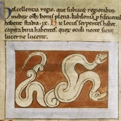 Двухголовые змеи с сияющими глазами. Рукопись Бодлеянской библиотеки (MS. Bodley 614, fol. 037v.)