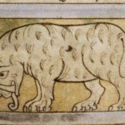 Слон. Рукопись Бодлеянской библиотеки (MS. Bodley 614, fol. 039v.)