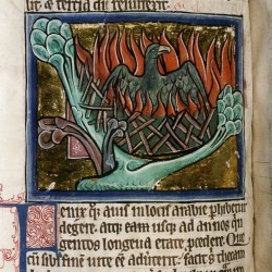 Феникс в погребальном костре. (Рукопись Бодлеянской библиотеки. MS. Bodley 764, fol. 070v)