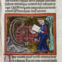 Аспид. (Рукопись Бодлеянской библиотеки. MS. Bodley 764, fol. 096r)