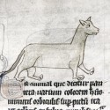 Пантера. Рукопись Бодлеянской библиотеки (MS. e. Mus. 136, fol.017r)