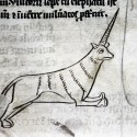 Единорог (monoceros). Рукопись Бодлеянской библиотеки (MS. e. Mus. 136, fol. 018v)