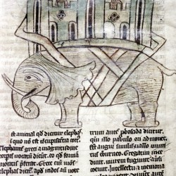 Слон с осадной башней на спине. Рукопись Бодлеянской библиотеки (MS. e. Mus. 136, fol.019v)