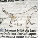 Бонакон. Рукопись Бодлеянской библиотеки (MS. e. Mus. 136, fol.024r.)