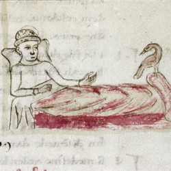 Харадр и больной. Рукопись Бодлеянской библиотеки (MS Douce 132, fol.065r.)