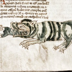 Крокодил пожирает человека. Рукопись Бодлеянской библиотеки (MS Douce 88, fol.138r.)