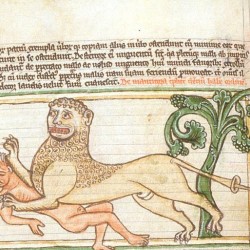 Мантикора (Рукопись Британской библиотеки MS Harley 3244, fol. 43v)