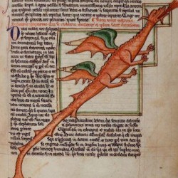 Дракон (Рукопись Британской библиотеки MS Harley 3244, fol. 59r)