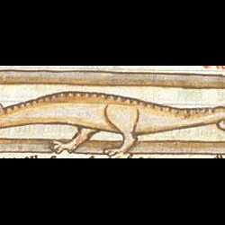 Сирена-змея (Рукопись Британской библиотеки MS Harley 3244, fol. 62v)