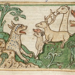 Пантера выходит из пещеры к зверям (Рукопись Британской библиотеки MS Harley 3244, fol. 37r)