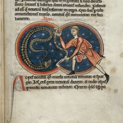 Аспид и заклинатель (Рукопись Британской библиотеки MS Harley 4751, fol. 61r)
