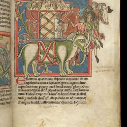 Слон с осадной башней на спине (Рукопись Британской библиотеки MS Harley 4751, fol. 8r)