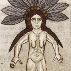 Мандрагора, женский вариант. Иллюстрация из медицинского гербария XI века (MS. Ashmole 1462, f. 67r)