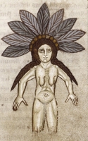 Мандрагора, женский вариант. Иллюстрация из медицинского гербария XI века (MS. Ashmole 1462, f. 67r)