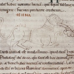 Гиену тошнит. Рукопись Бодлеянской библиотеки (MS Laud. misc.247, fol.151v.)