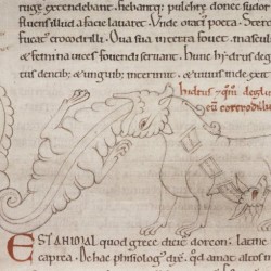 Гидрус убивает крокодила. Рукопись Бодлеянской библиотеки (MS Laud. misc.247, fol.152v.)
