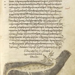 Крокодил. Рукопись музея Гетти в Лос-Анджелесе (MS. Ludwig XV 2, fol.06r.)