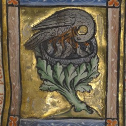 Пеликан вскармливает птенцов. Рукопись музея Гетти в Лос-Анджелесе (MS. Ludwig XV 3, fol.17r.)