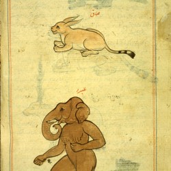 Демон со слоновьей головой. Рысь. Рукопись Национальной библиотеки медицины, Бетесда, США (MS P 2, fol. 169v.)