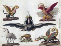 Василиск, феникс, рух, единорог, баранец и дракон на иллюстрации Фридриха Джастина Бертуха