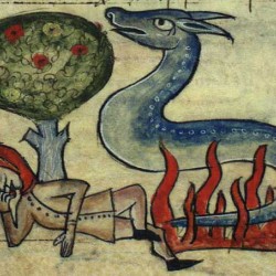 Саламандра. Английский бестиарий XV века (Бестиарий Энн Уолш)