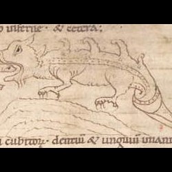 Крокодил. Рукопись Британской библиотеки (MS Stowe 1076, fol. 3r.)