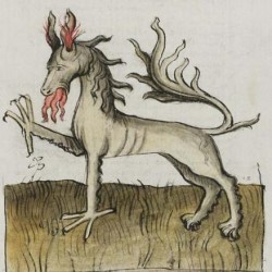 Рисунок пантеры (?) из средневекового бестиария